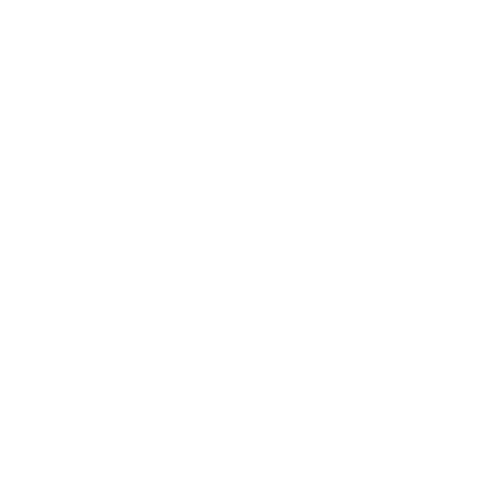 Picture of the Anthony Johnson Consultant LLC logo.